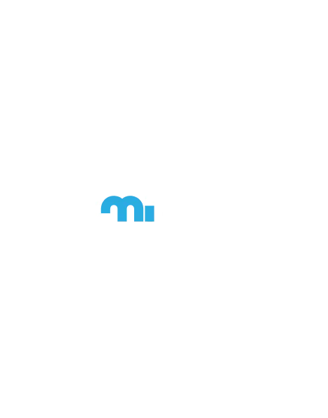 MMI Auction